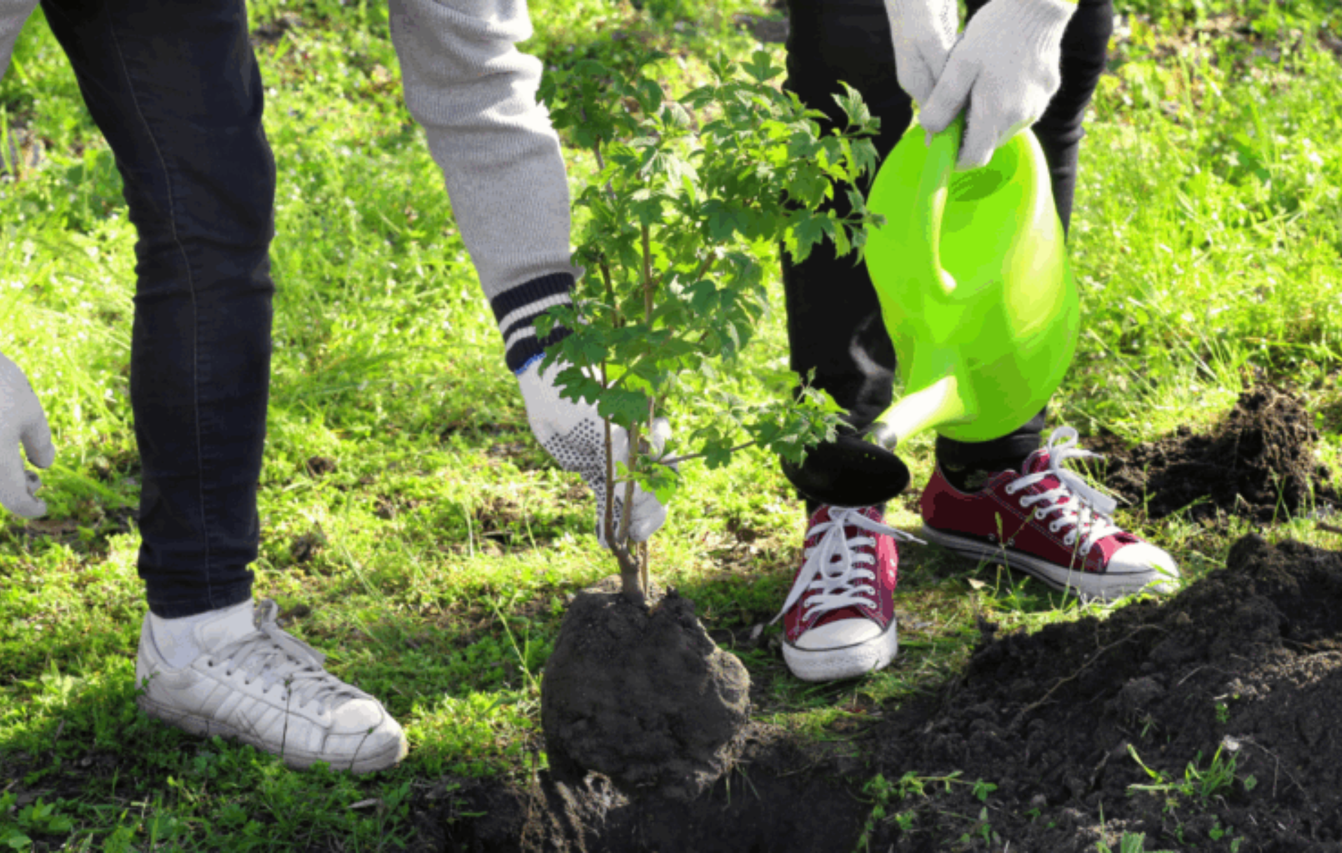 Majira Eco: Measuring Environmental Impact