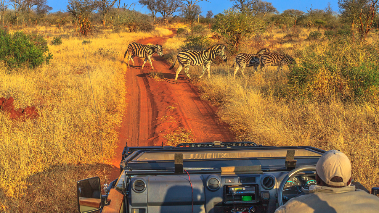 Urbane Pori Treks: Seamless Safaris & Cross-Border Logistics